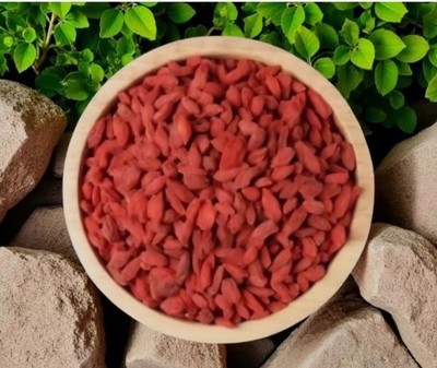 Power of Organic Dried Berberine Herbs Naturally Sourced Wellness عشبة البربرين