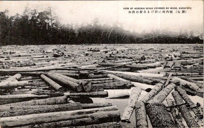 Taisho Era Karafuto Logging Postcard Horonai River Timber Log Drive 1912