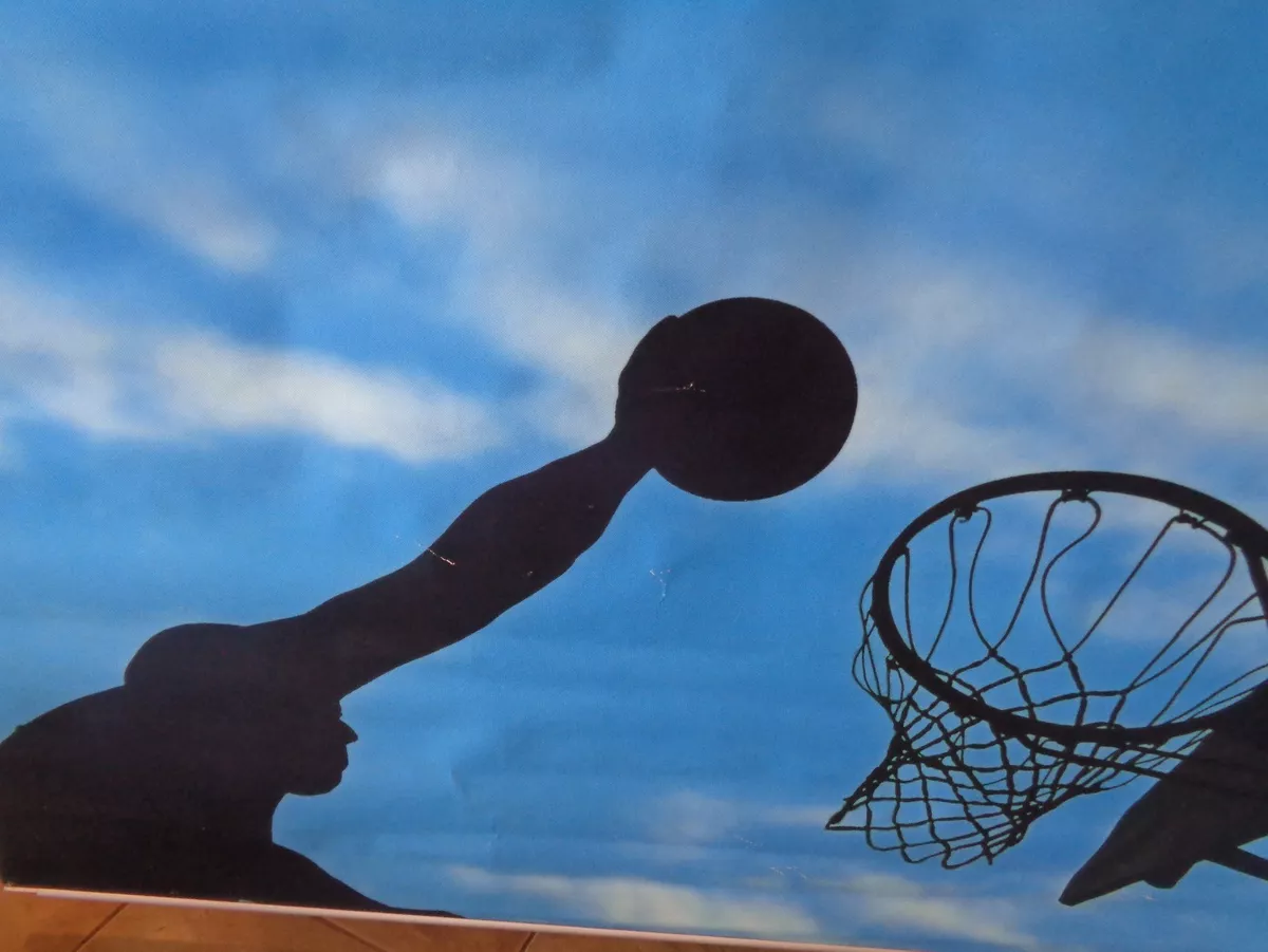 Wall Mural Basketball Ball 