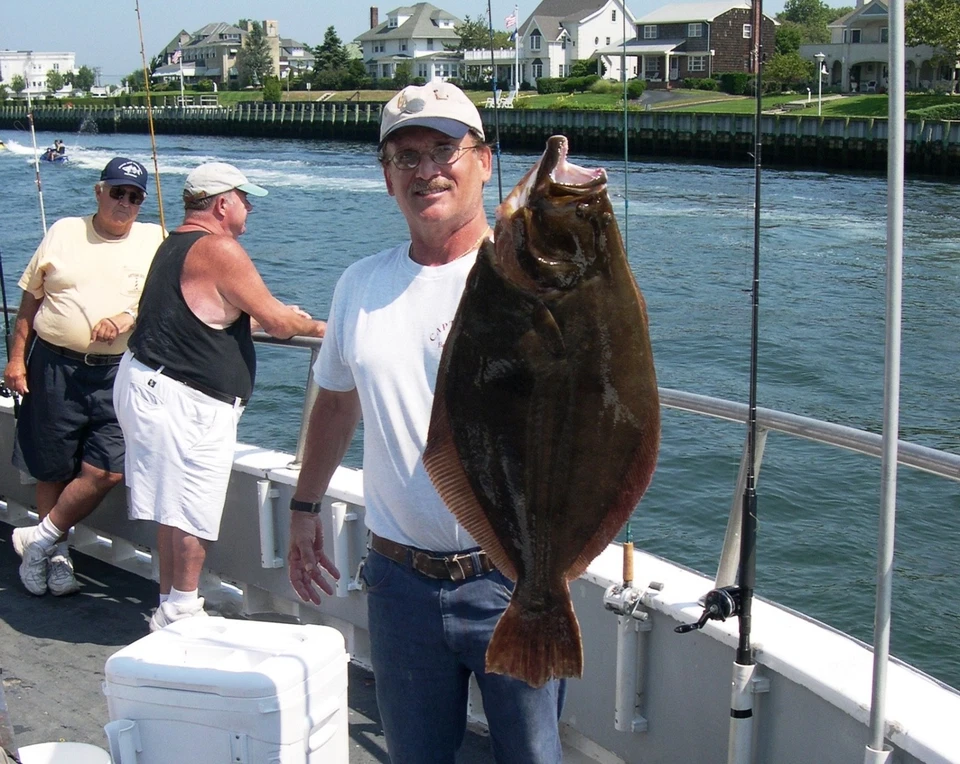 4 FLUKE PLAUNDER APAREJOS SEÑUELO HOLOGRÁFICO CALAMAR GAMAKATSU LUBINA BACALAO SALMÓN Foto 4 de 4