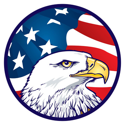 American flag sticker eagle USA skate cell laptop bumper vinyl decal