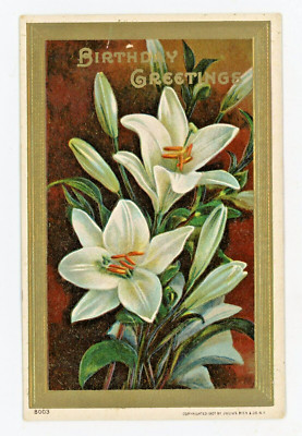 Vintage Postcard Birthday White Easter Lillies Unposted Embossed