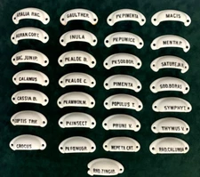 Antique 29 PORCELAIN APOTHECARY drawer pulls, knobs