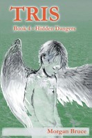 Morgan Bruce | Tris 4 | Taschenbuch | Englisch (2022) | Hidden Dangers