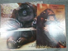 Lot Of 3 Argus Laminated Posters Motivational Messages Classroom Monkeys