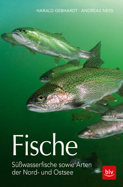 Thumbnail - Fische Harald Gebhardt 9783835418912