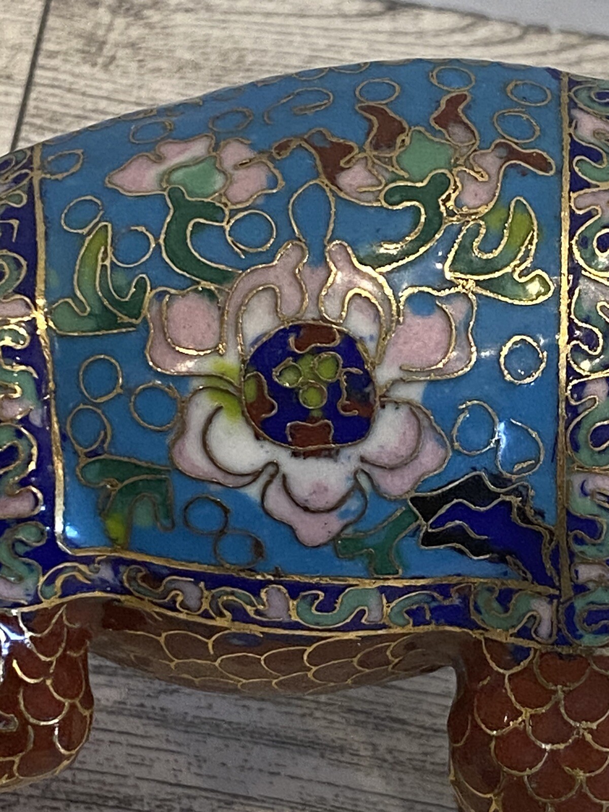 Picture 5 of 12