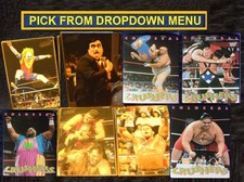 1994 Action Packed WWF World Wrestling Federation signature series You-Pick-1