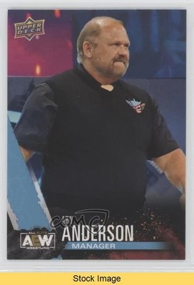 2021 Upper Deck AEW All Elite Wrestling Crew Finisher Arn Anderson #71 READ 0p0t