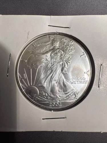 2002 .999 FINE SILVER EAGLE WALKING LIBERTY DOLLAR BULLION COIN UNCIRCULATED