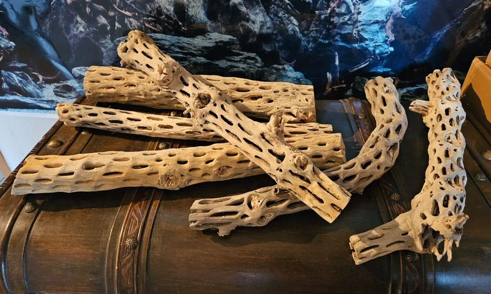 MARKENLOS Vuka Holz hell 40cm bis 50cm Wurzel für Reptilien, Garnelen, Terrarium, Aquarium