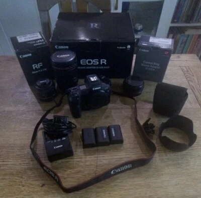 Canon EOS R, RF To EF control Ring Adapter, RF50mm F1.8, EF 24-105L F2
