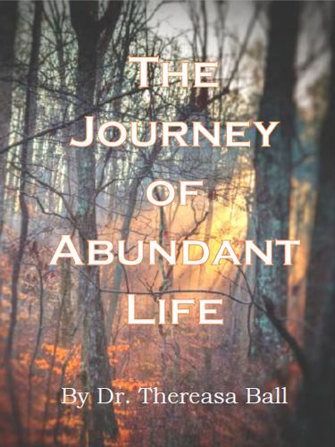The Journey of Abundant Life, Like New Used, Free shipping in the US