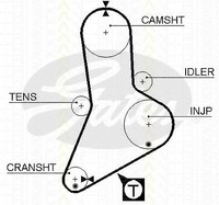 Triscan Zahnriemen U.A. FüR CitroËN, Fiat, Iveco, Peugeot, Renault