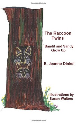 The Raccoon Twins: Bandit and Sandy..., Dinkel, E. Jean