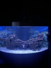 Juwel trigon 350 Corner Fish Tank With Helialux Led Light Bar & Ship Wreck Boat