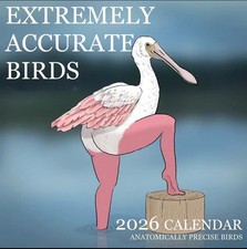 2026 Wall Calendar With Extremely Accurate Birds Theme Spiral Bound For Home