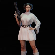 1/24 1/18 Princesa Leia NSFW Unpainted Unassembled 3D Printing Model Garage Kits