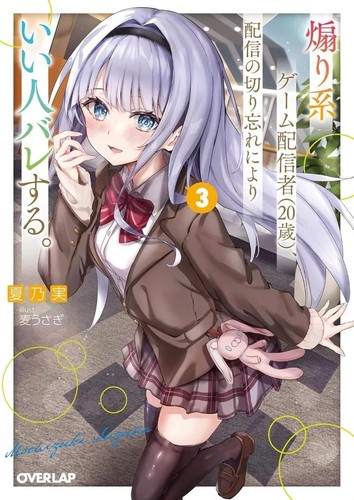 Light Novel Paperback Size: A Stimulating Game Streamer, 20 Years Old ...