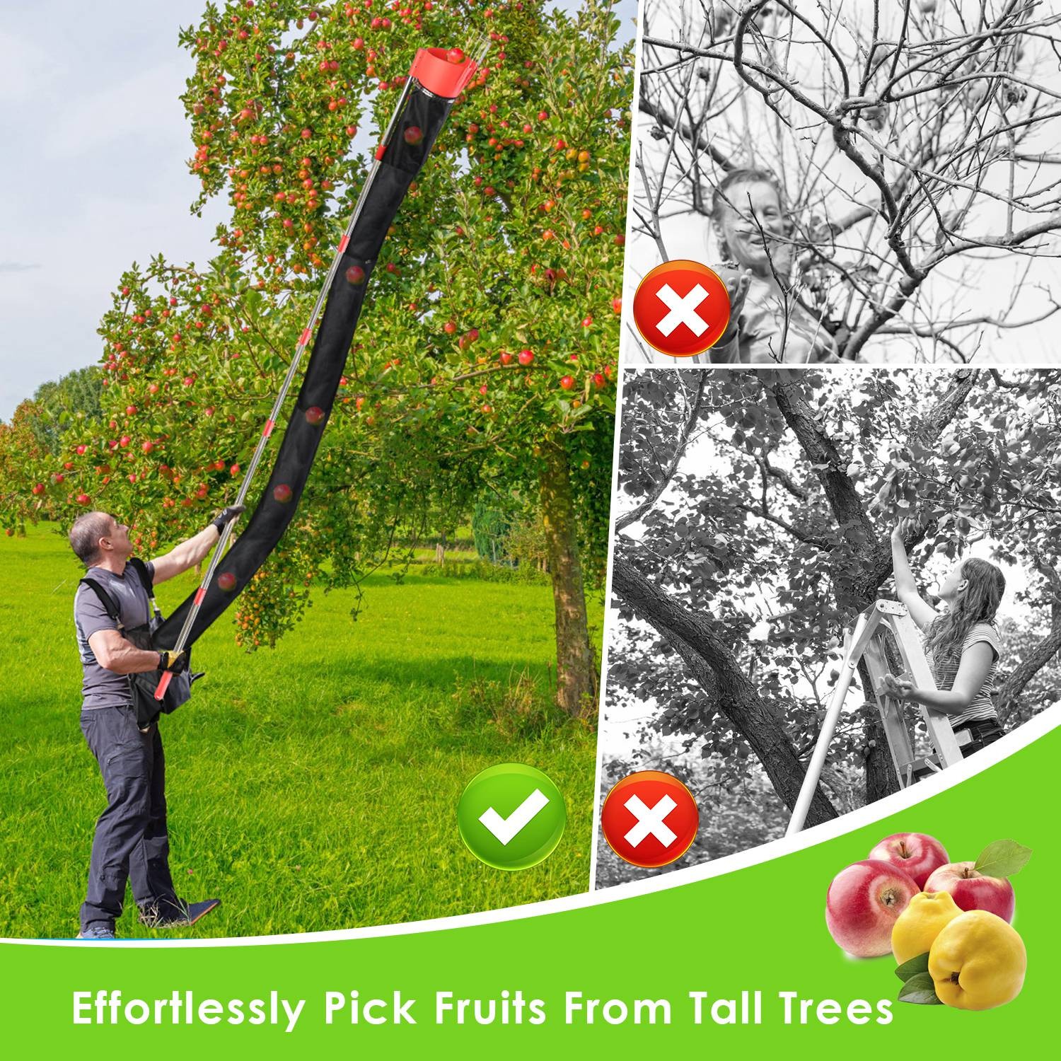 Fruit Picker Pole with Harvest Bag 13.43 ft Extendable Stainless Steel