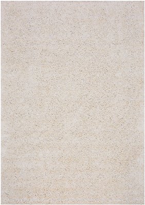 Shaggy Area Rugs