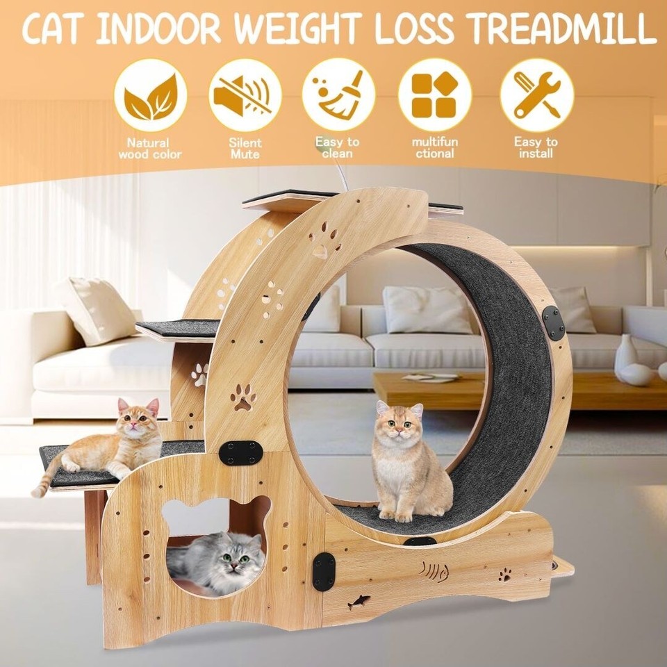 6in1 Cat Exercise Wheel Cat Walking Wheel Cat Furniture eBay