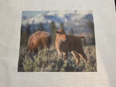 2 SMALL Buffalo 10 x10  QUILT BLOCK SQUARE FABRIC KID Adult Brown Bison Baby #4