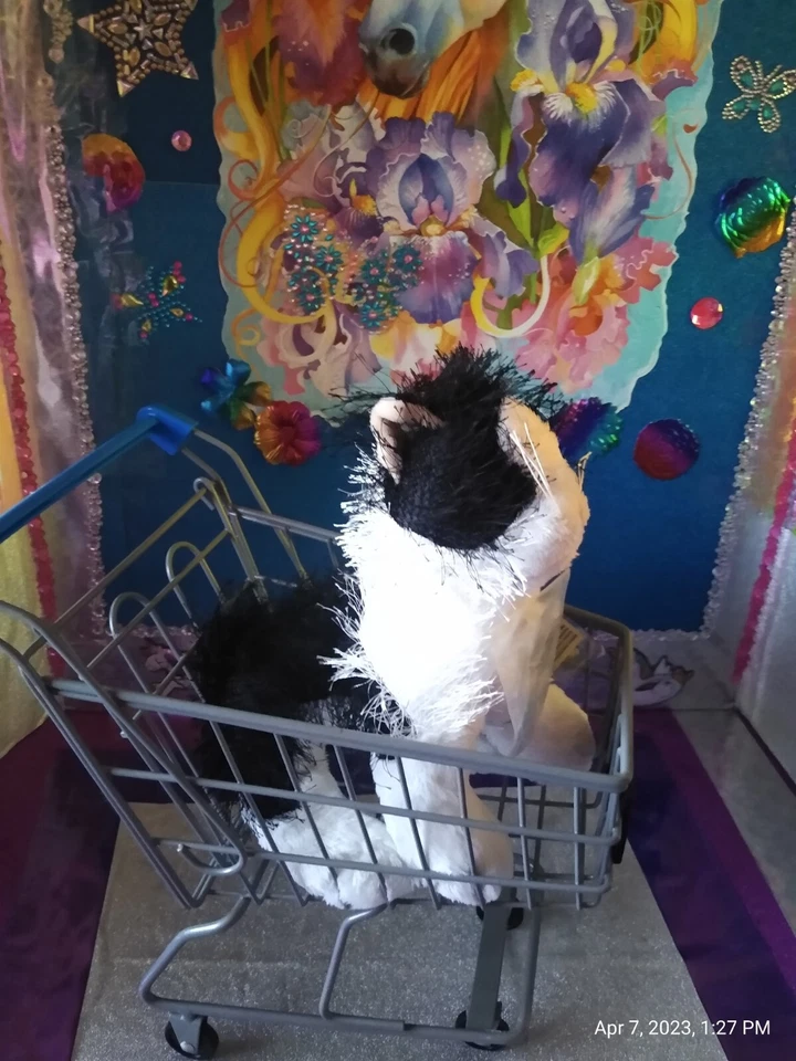 🦄Ganz / Webkinz Stringy "BLK & WH CAT" HM016 9" Plush! *With Code! - Image 3 of 4