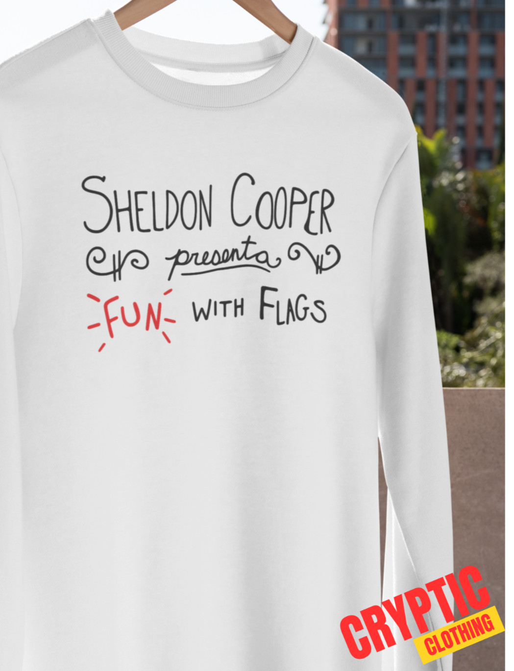 Sheldon Cooper Fun with Flags T-SHIRT The Big Bang Theory Geek Nerd Joke GIFT