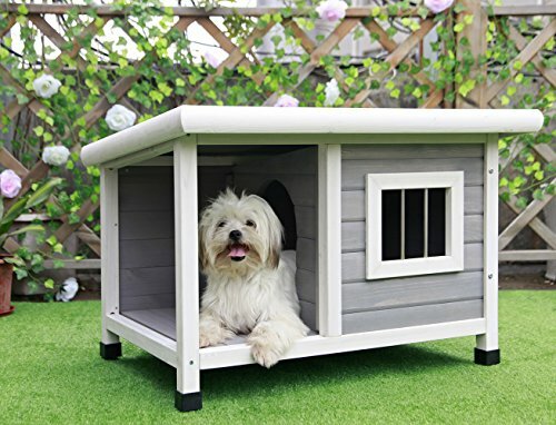 small outdoor dog house