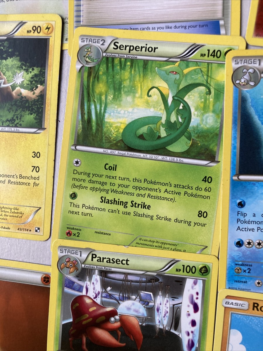 pokemon cards gainesville fl parduodama Gainesville, Florida PokPops - A Pokmon TCG