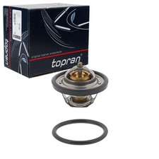 Thermostat Ford ORION