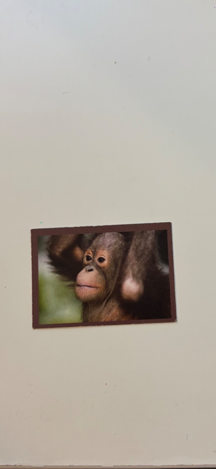 Picture 13 of 17