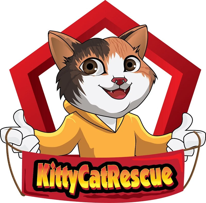 (110093) SHAYMIN EX XY148 Pokemon XY Black Star Holofoil Promo Card - SEALED - Image 4 of 4