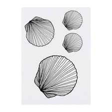 4 x 'Seashell' Temporary Tattoos / Transfers TO00000915 