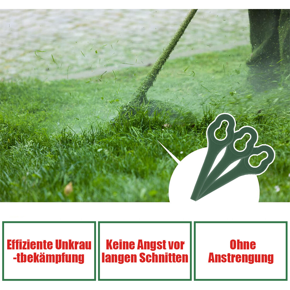 Bild 8 von 19