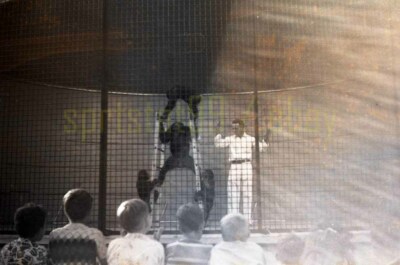 Bonzo the Chimpanzee - 1950s Animal Show - Vintage Circus Negative
