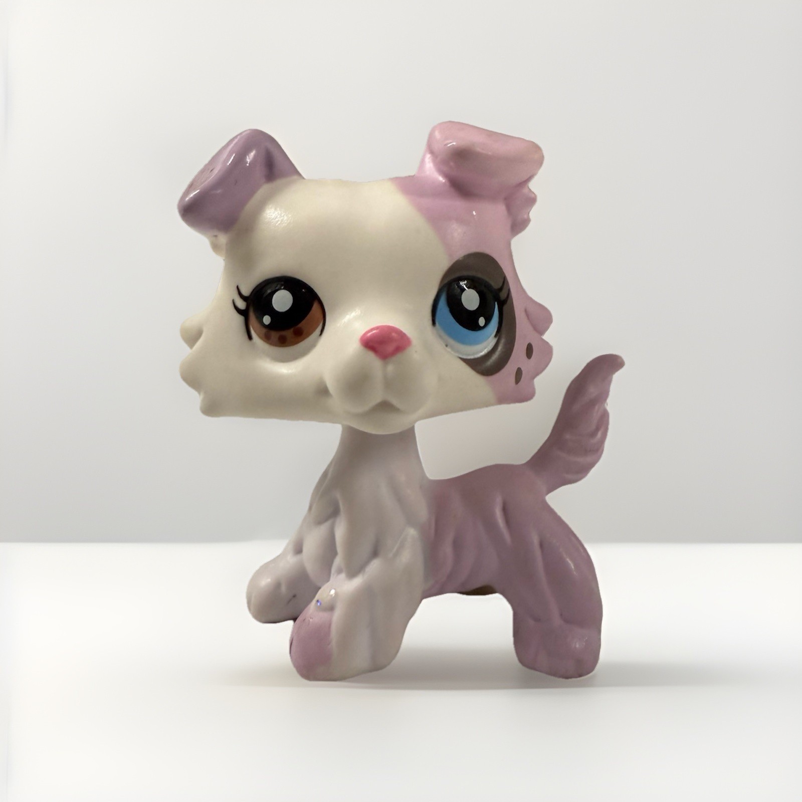 Mini Pet Shop, Dog Puppy, Cute Collie  OOAK Custom Hasbro