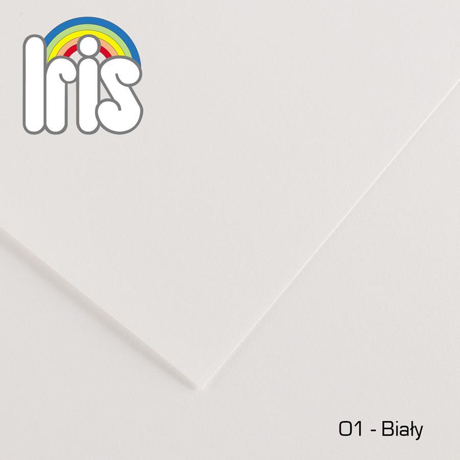 3148954224961 КАРТОН ИРИС 70Х100 240Г 25АRYZA BIAY 01 200040440 CANSON 10990₽