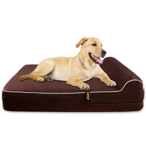 Dog,dog breeds,a dog's way home,dog park,dog the bounty hunter,dog breeds,dog whistle,dog grooming,dog beds