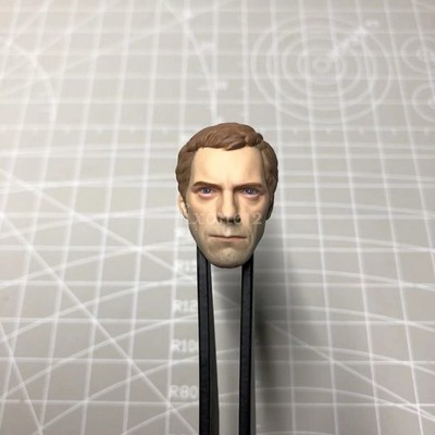 Painted 1/18 1/12 1/10 Hugh Laurie Dr House Head Sculpt fit 3.75'' 6'' 7'' Figure 