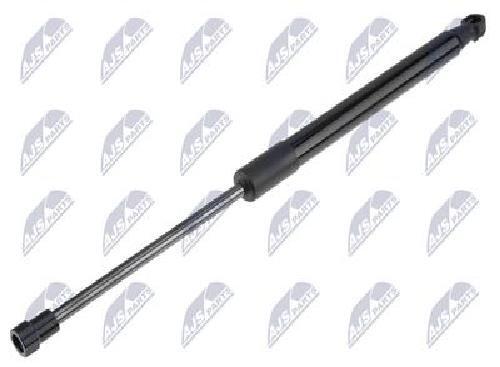 Original NTY Gas Spring Trunk/Loading Area AE-CT-007 For Citroën