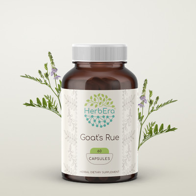 Thyme Leaf - 450 mg (100 Capsules, ZIN