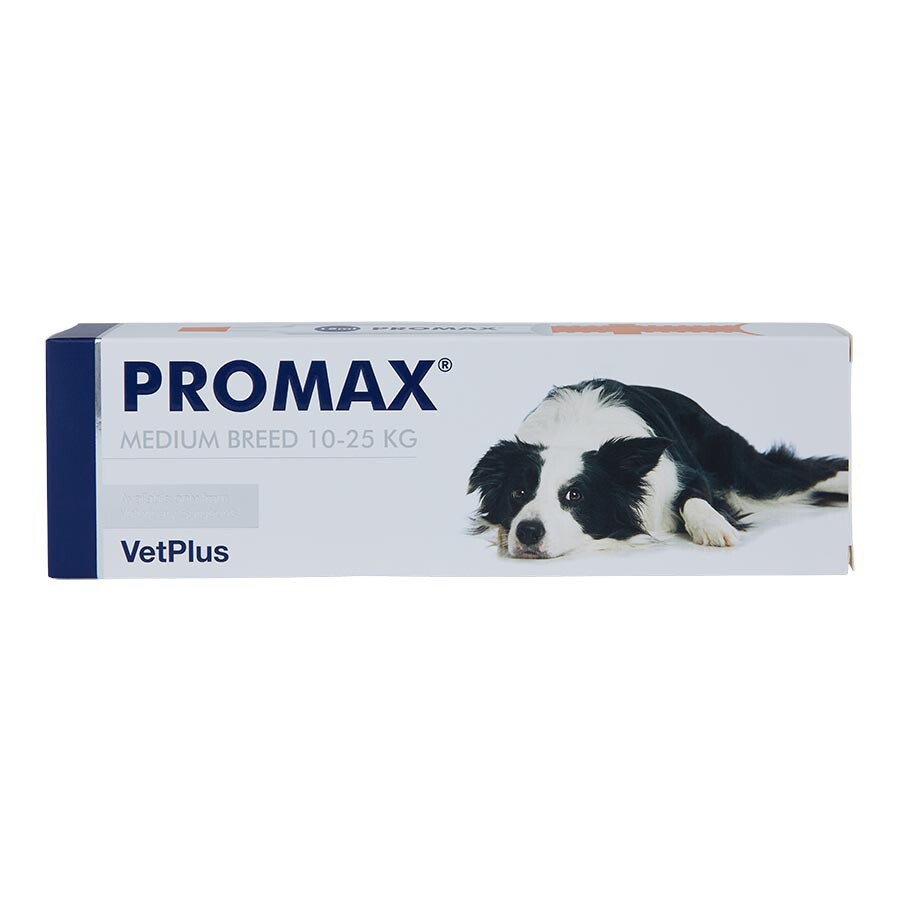 Vetplus Promax Digestive Support Paste - Medium Dog 10-25Kg - 18ml - Image 2