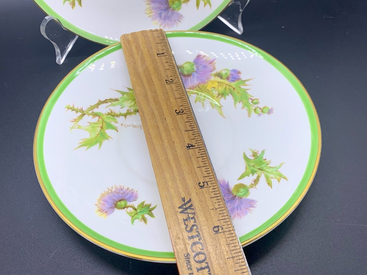 VINTAGE ROYAL DOULTON GLAMIS THISTLE PLATE OR SAUCER PAIR QUEEN