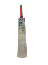ZAP Pro Cricket Bat English Willow Short Handle Used Condition Refurb Project