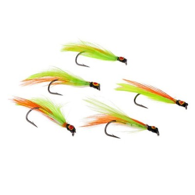 5Pcs Salzwasser Fliegen Angeln Streamer Köder Köder Fisch Simulation