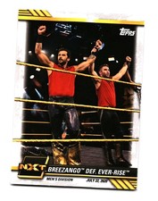 Breezango def. Ever-Rise 2021 Topps WWE NXT 48