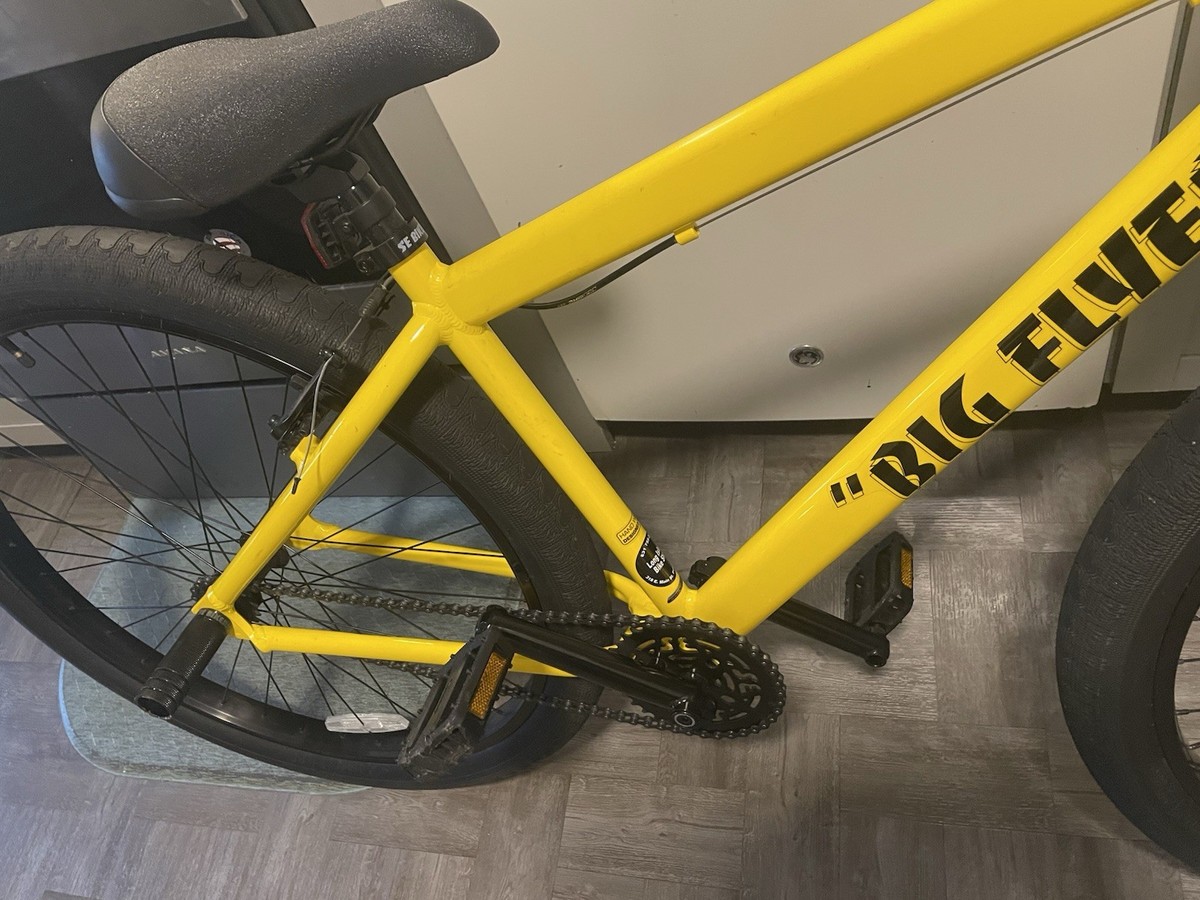 SE Bikes Big Flyer 29