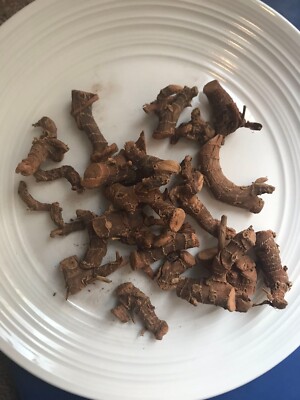 Gao Liang Jiang, 高良姜，良姜，7oz, No Sulphur